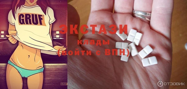 ECSTASY Богородицк