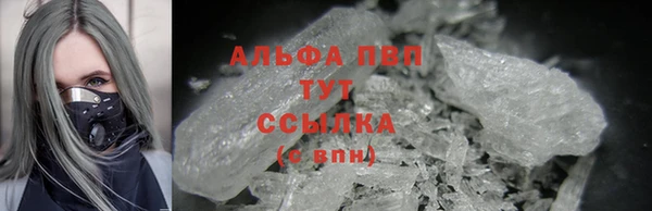 ECSTASY Богородицк